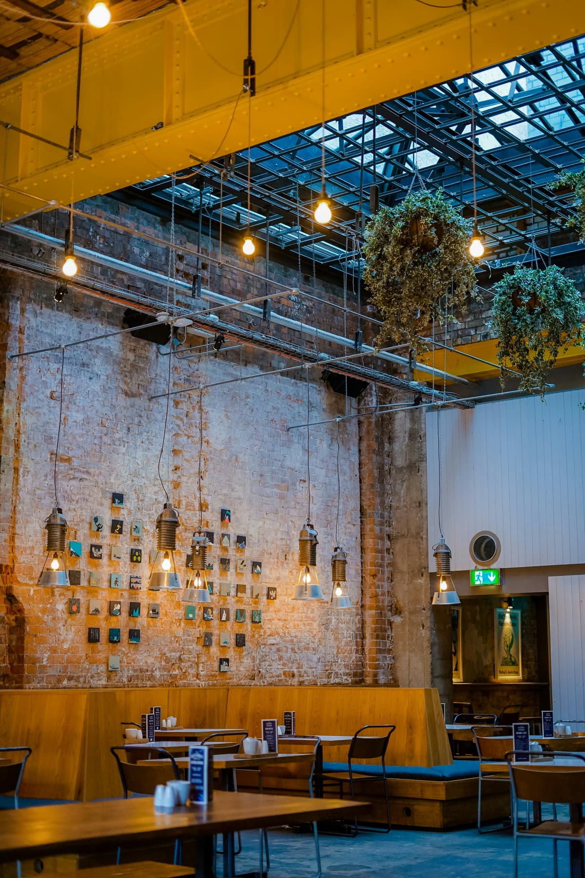 El Toro Gallery 6